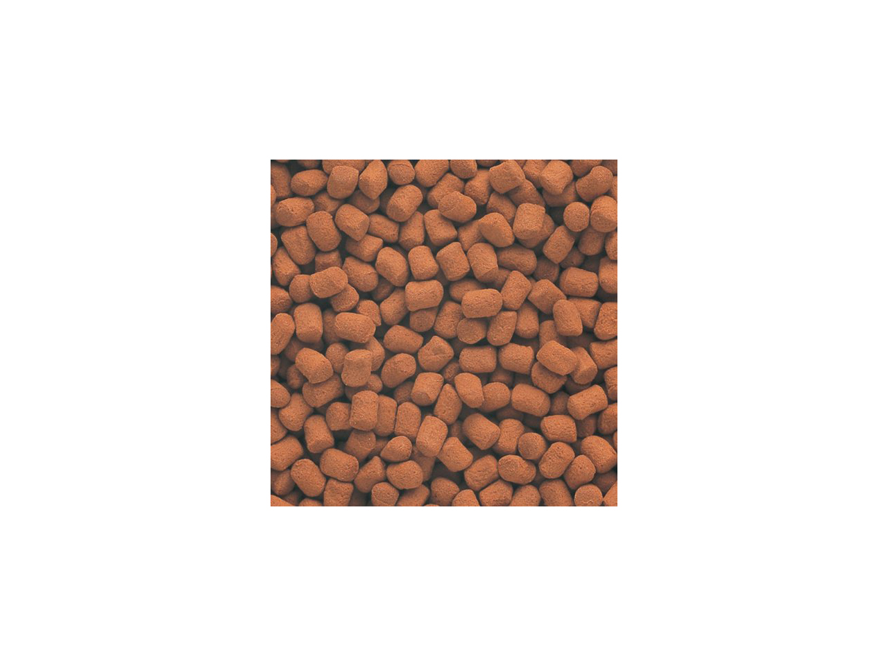 レプトミンスーパー（プレミアムバランスフード）160ｇ(2)