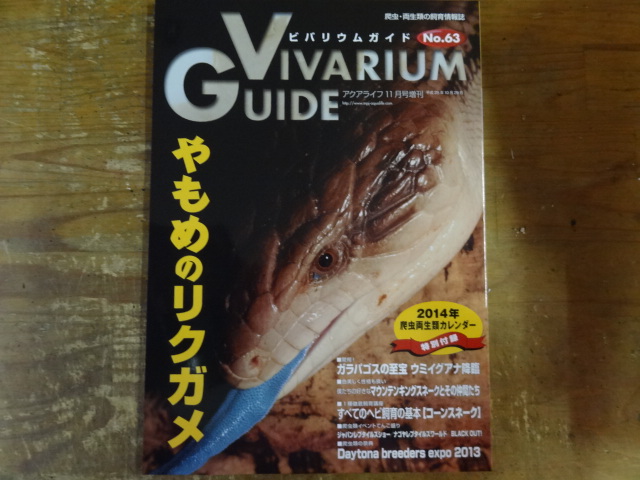 ビバリウムガイド No.63