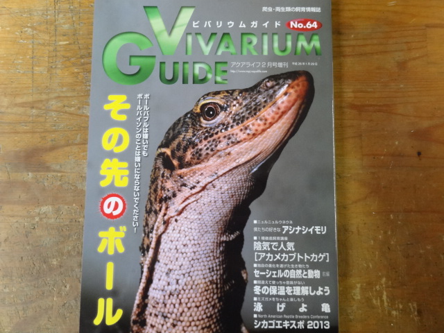 ビバリウムガイド No.64
