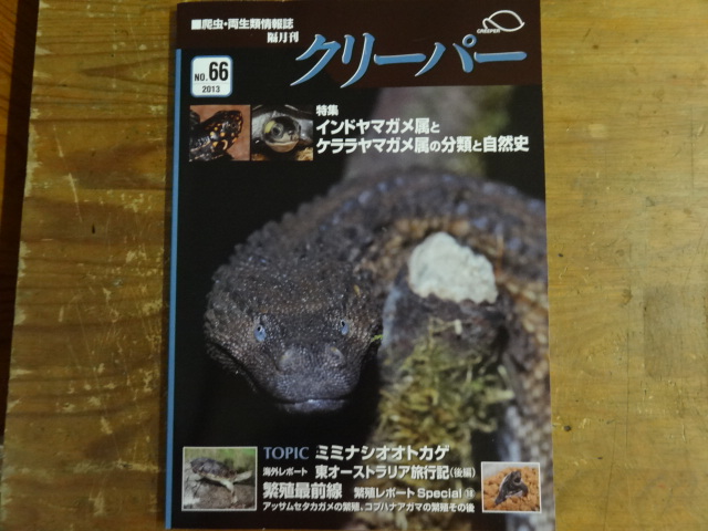 クリーパー No.66