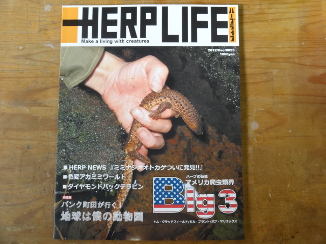 ハープライフ　＃023