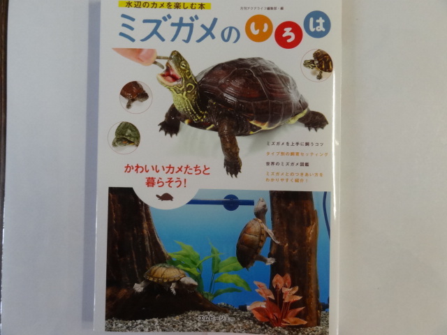 水辺のカメを楽しむ本　ミズガメのいろは