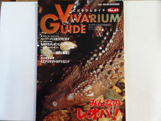 ビバリウムガイド No.62