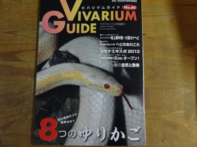 ビバリウムガイド No.60