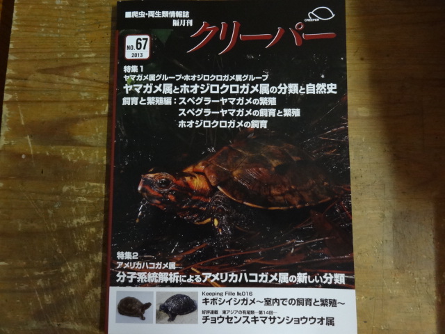爬虫類ショップ サウリア大阪大東店 専門誌 グッズ 販売