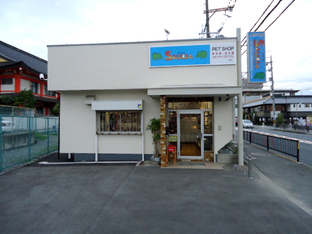 爬虫類専門店 サウリア大阪大東店 爬虫類専門店 サウリア大阪大東店