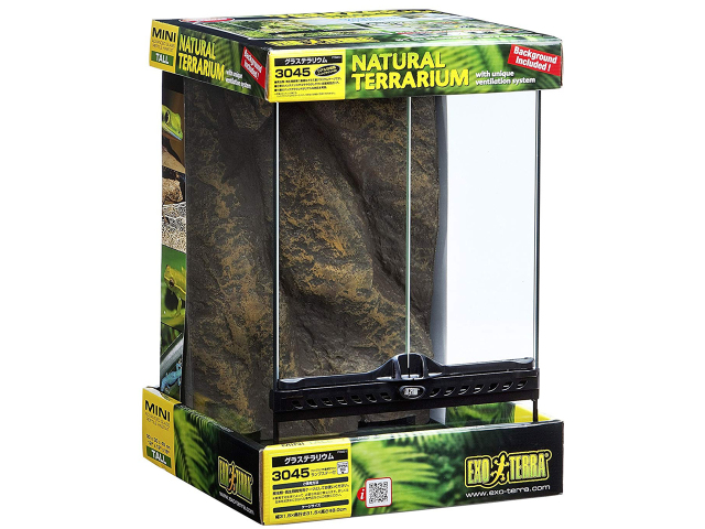 グラステラリウム　3045