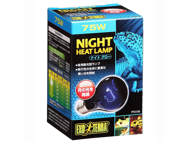 ナイト　グロー　75W