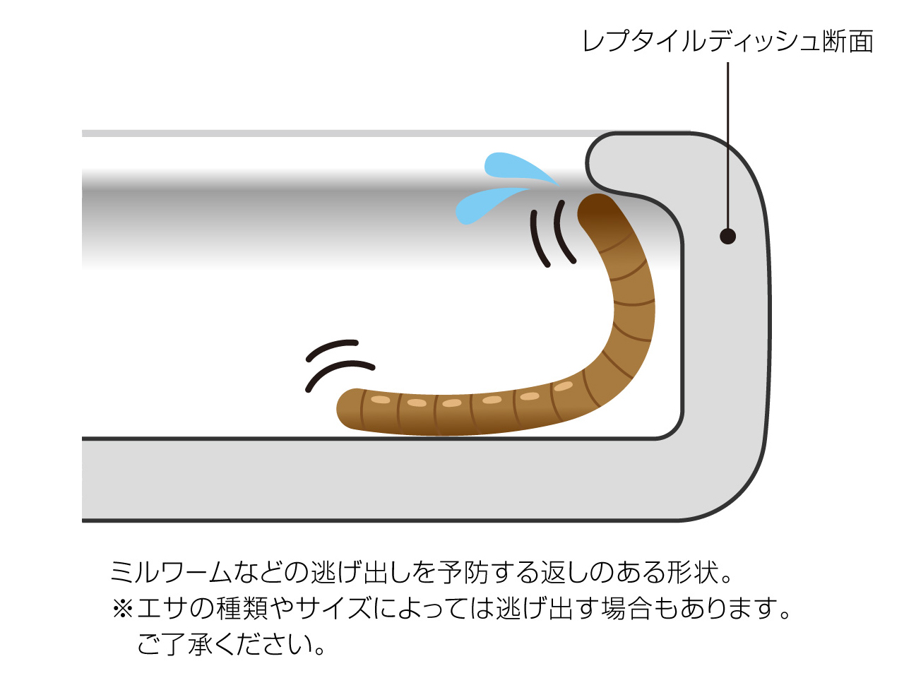 レプタイルディッシュL(6)